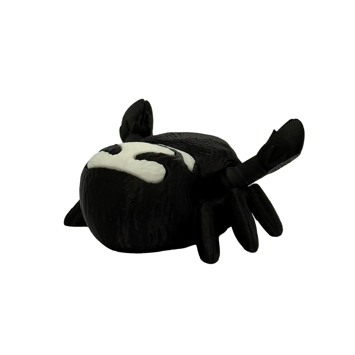 Charlotte the Jumping Spider - Magnetic Note Holder