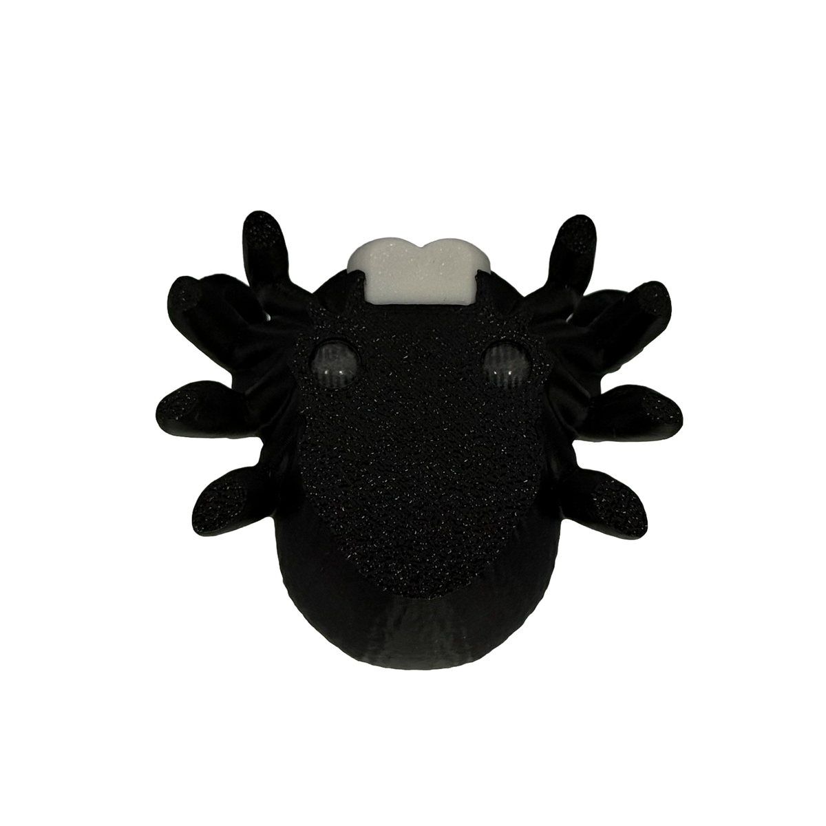 Charlotte the Jumping Spider - Magnetic Note Holder