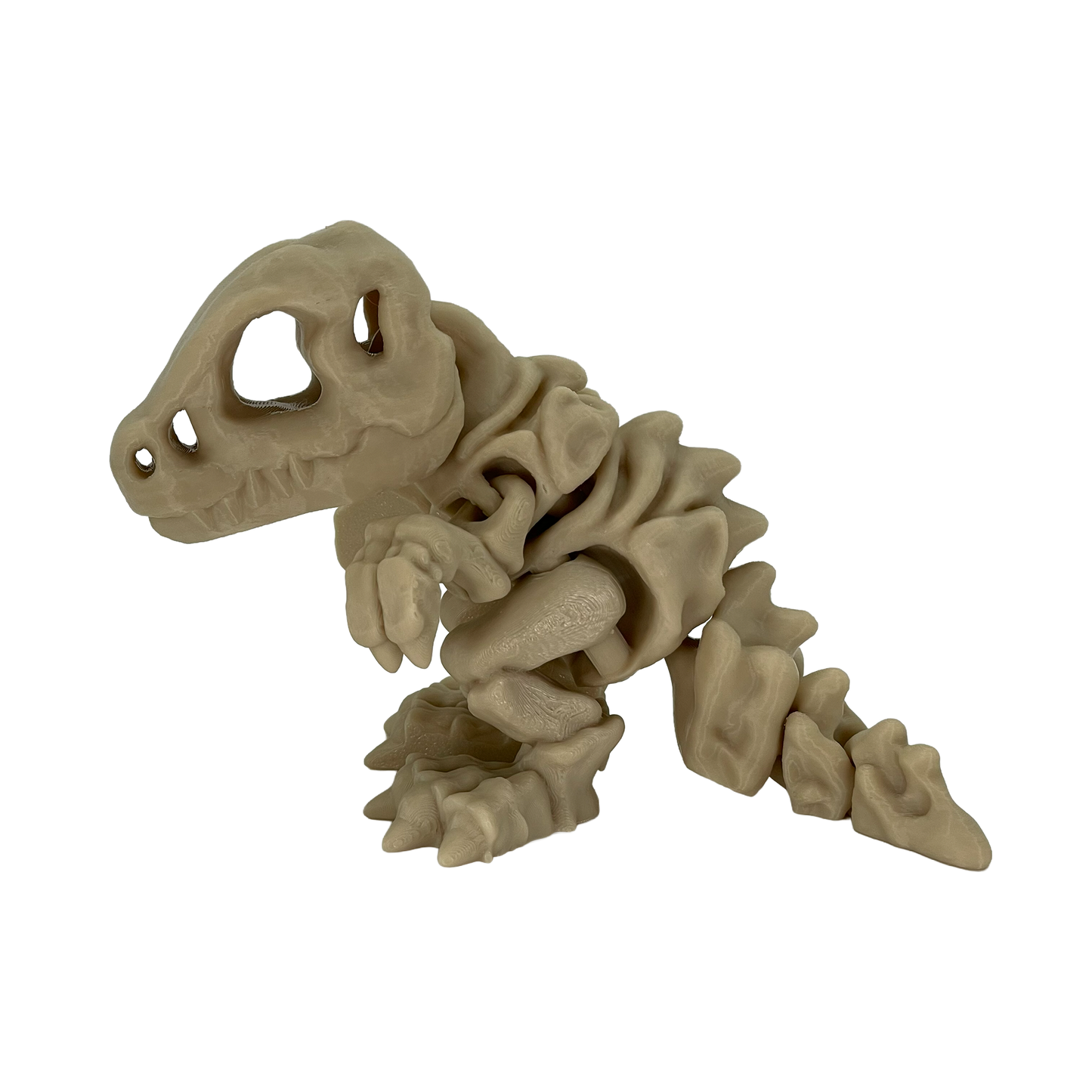 Skeleton T-Rex Fidget Buddy - Articulated Desk Toy